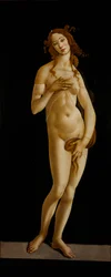 Venere Pudica, ca 1485-1490