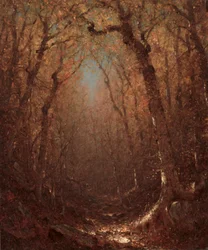 Autunno, un sentiero nel bosco