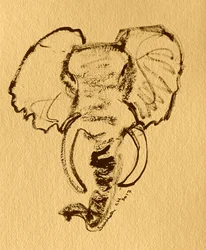 Schizzo di elefante africano