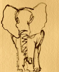 Schizzo di un cucciolo di elefante