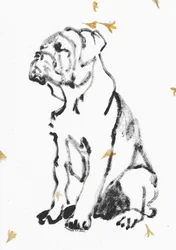Schizzo di un cucciolo di bulldog