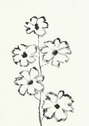 Schizzo di fiore a carboncino