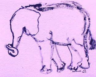 Disegno di un elefante curioso