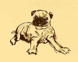 Schizzo di un grazioso cucciolo di carlino