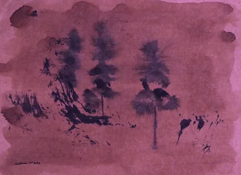 Oscuro paesaggio forestale