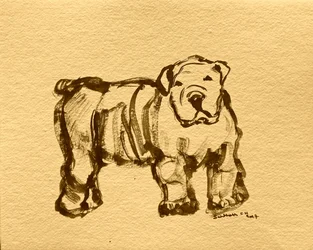 Schizzo espressivo di bulldog