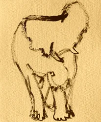 Disegno espressivo di elefante