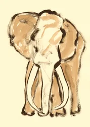 Schizzo espressivo di elefante