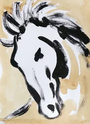 Espressiva testa di cavallo