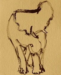Elefante gentile a inchiostro