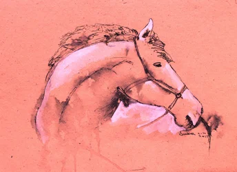 Schizzo di un cavallo aggraziato