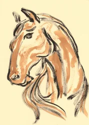 Profilo maestoso di cavallo
