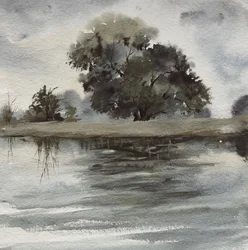 Riflessioni sull’albero nella nebbia