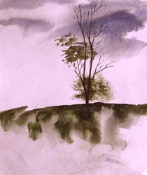 Albero su un pendio suggestivo