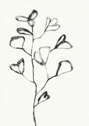 Disegno organico di foglia