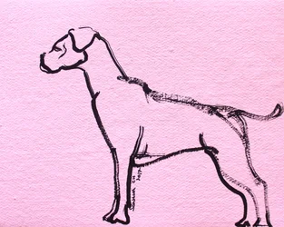 Disegno lineare di boxer rosa