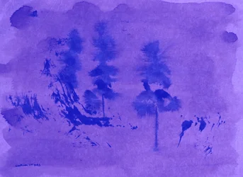 Pini nella foschia viola