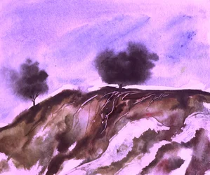 Radici sulle colline viola