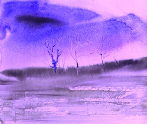 Paesaggio invernale viola
