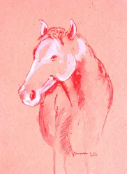 Schizzo di cavallo rosso
