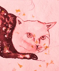 Gatto rosa sereno