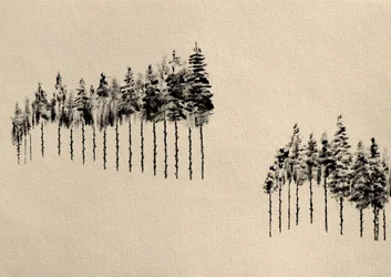 Pineta stilizzata