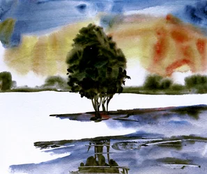 Riflesso di un albero al tramonto