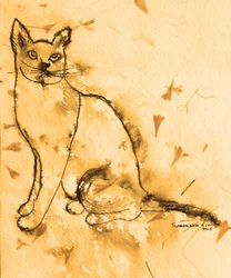 Gatto pensieroso color seppia
