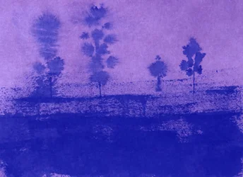 Silhouette del crepuscolo