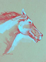Testa di cavallo dai colori vivaci
