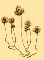 Stravaganti fiori a forma di piedi