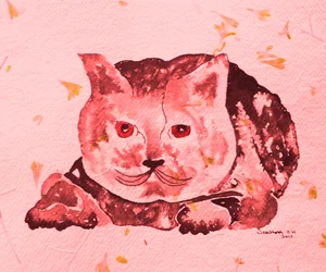 Gatto rosa stravagante