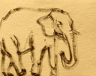 Schizzo di elefante selvatico