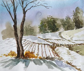 Paesaggio invernale in campagna
