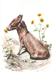 Stop and Smell the Flowers, 2024 (acquerello su carta)