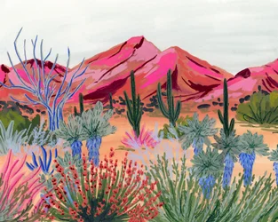 Panorama colorato del deserto