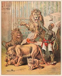 Leoni che si esibiscono con il loro addestratore al Circo Barnum & Bailey dal Menagerie di P.T. Barnum pubblicato nel 1888, illustrazione di Sarah J. Burke