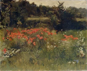 Papaveri, Reigate