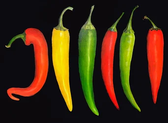 Cinque peperoncini, 2024 (olio su tela)