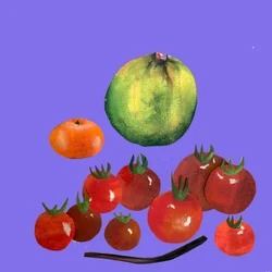 Frutta e verdura