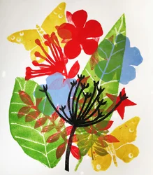 Teste di semi e fiori, 2019