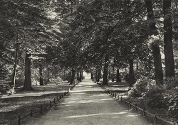 Berlino: Tiergarten