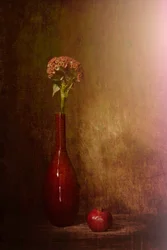 Una natura morta oscura fiorisce