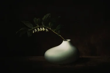 Delicata natura morta scura con fiori