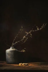 Natura morta botanica suggestiva
