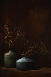 Vasi botanici malinconici