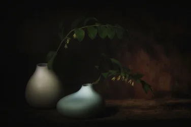 Natura morta botanica serena
