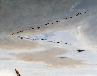 Uccelli in formazione a V, dettaglio da Il trionfo di Mario