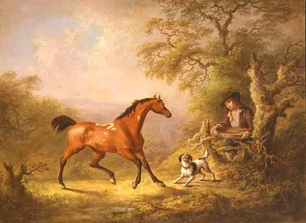 Un groom che nutre un cavallo