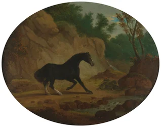 Un cavallo spaventato da un serpente